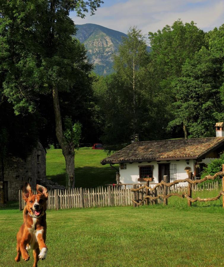 Baita Tana da l'Ors Forgaria nel Friuli Bagian luar foto