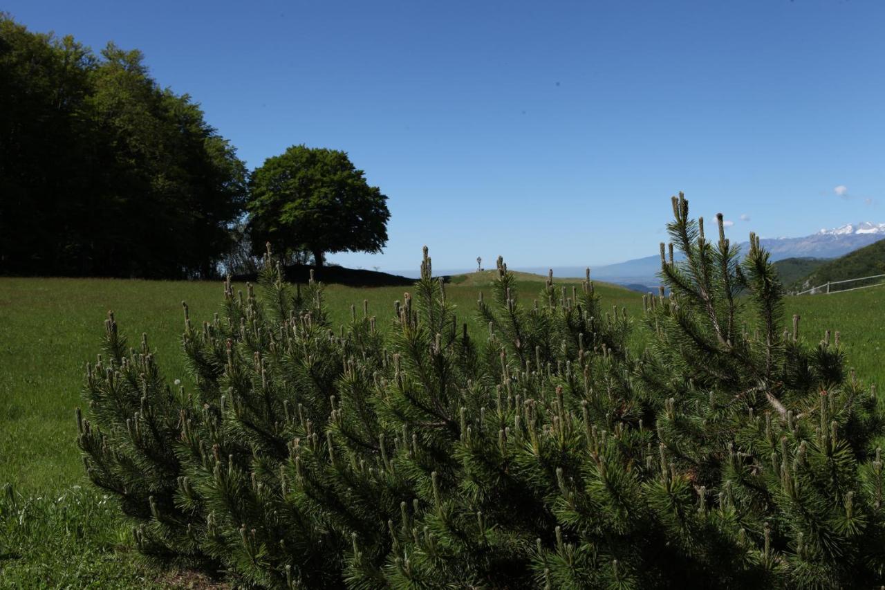 Baita Tana da l'Ors Forgaria nel Friuli Bagian luar foto