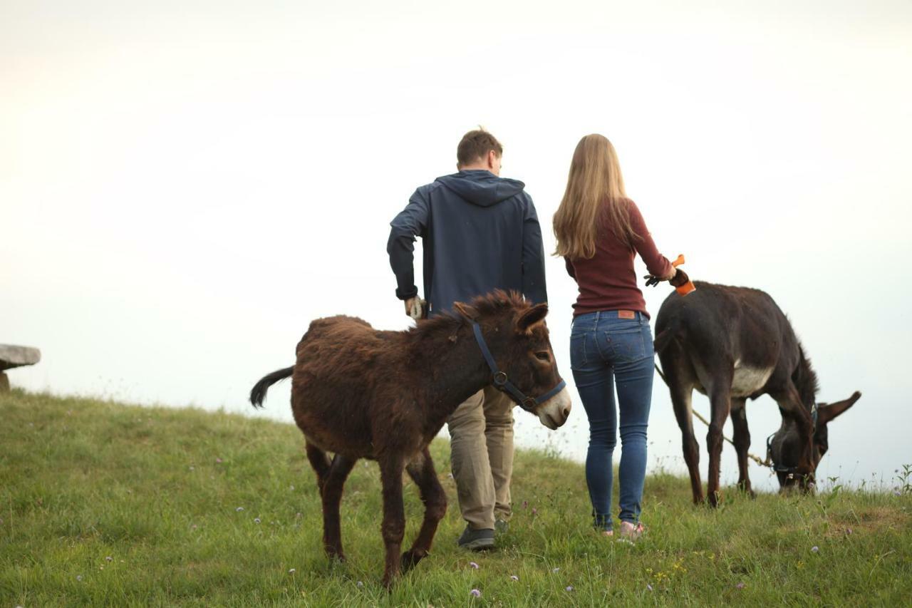 Baita Tana da l'Ors Forgaria nel Friuli Bagian luar foto